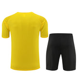 Dortmund training shorts