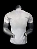Maillots joueurs argentine