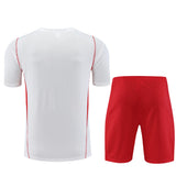 Flamengo training shorts