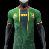 Maillots joueurs Cameroun