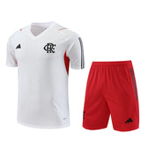 Flamengo training shorts