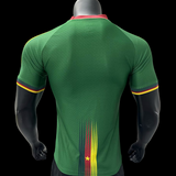 Maillots joueurs Cameroun