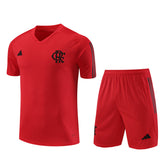 Flamengo training shorts