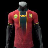 Maillots joueurs Cameroun