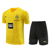 Dortmund training shorts