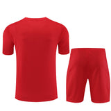 Flamengo training shorts