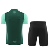 Algeria training shorts